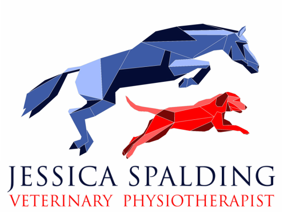 Jessica Spalding Veterinary Physiotherapist